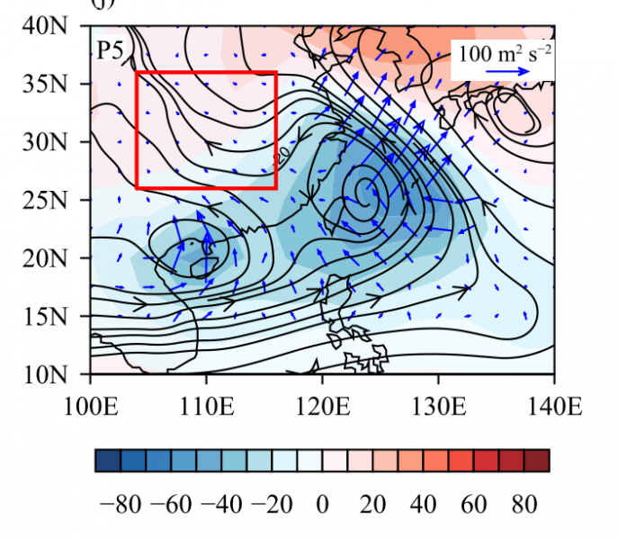 ����������Ч��