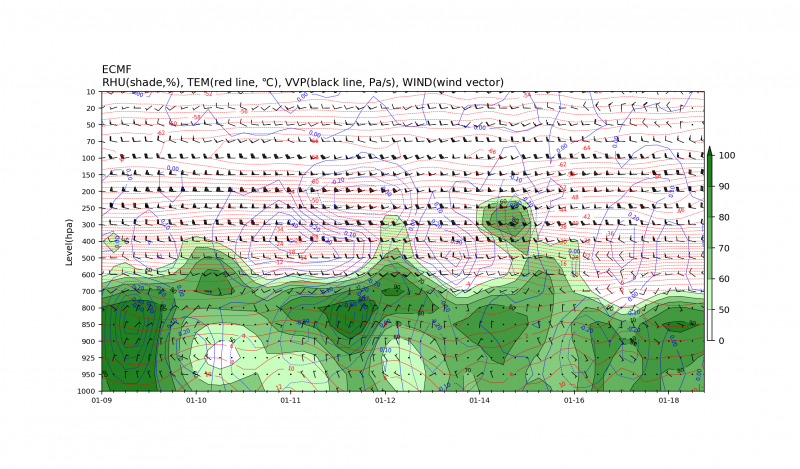 EC_PROFILE_20220117200000_56386.png