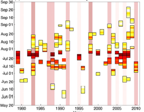 ��ɫ��ʾ����