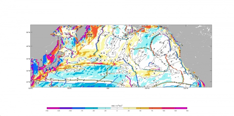 ��Ӧ��������ķ�Ӧ������