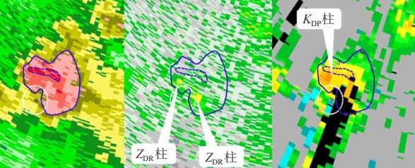 ΢Žͼ_20250108225517.png