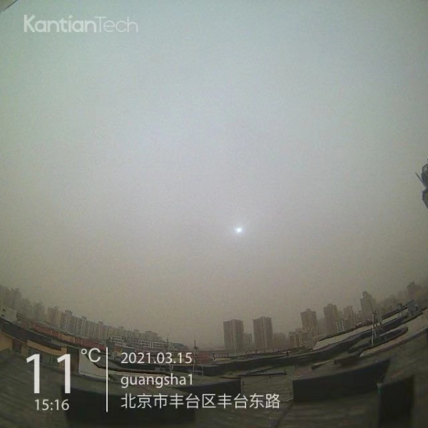1213.jpg